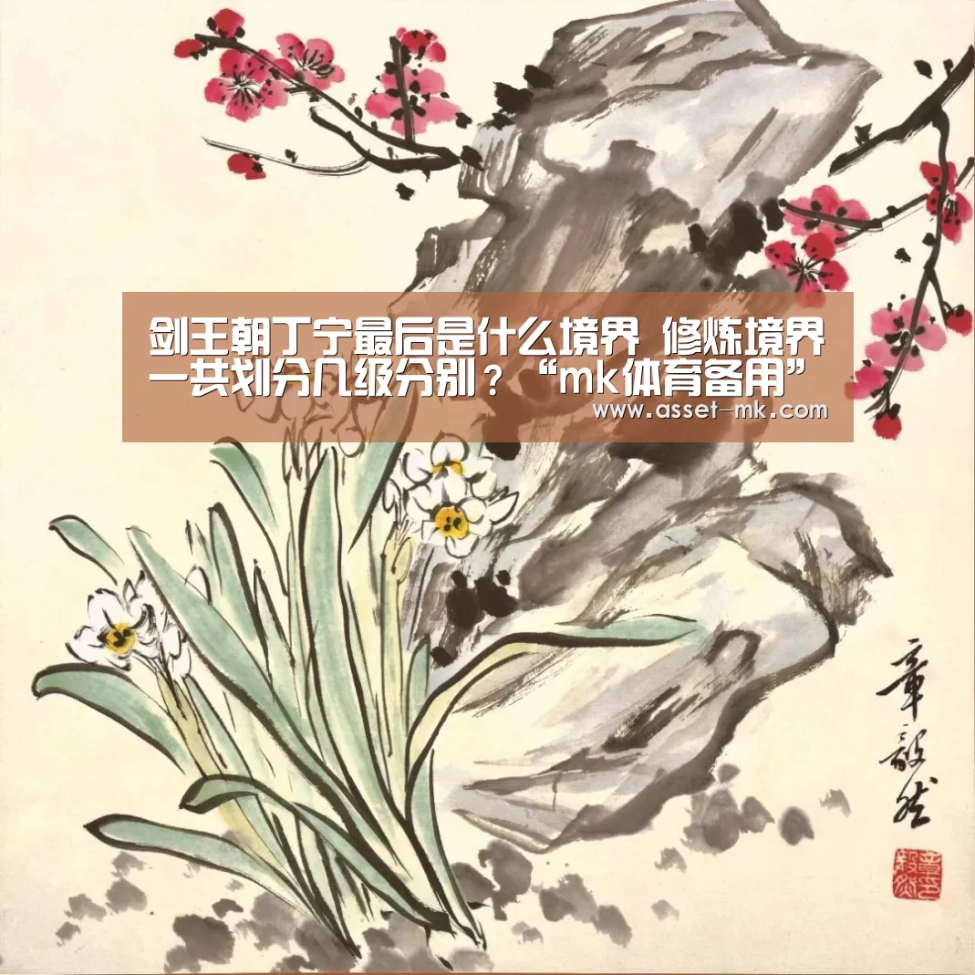 剑王朝丁宁最后是什么境界 修炼境界一共划分几级分别?“mk体育备用”(图2) mk体育app