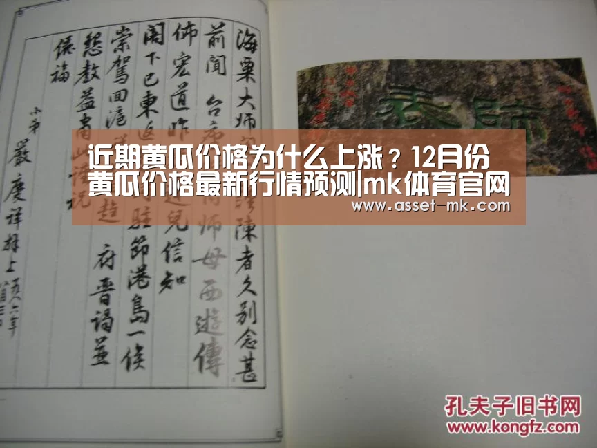 mk体育在线