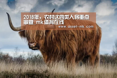 2018年，农村这四类人将重点审查_mk体育在线