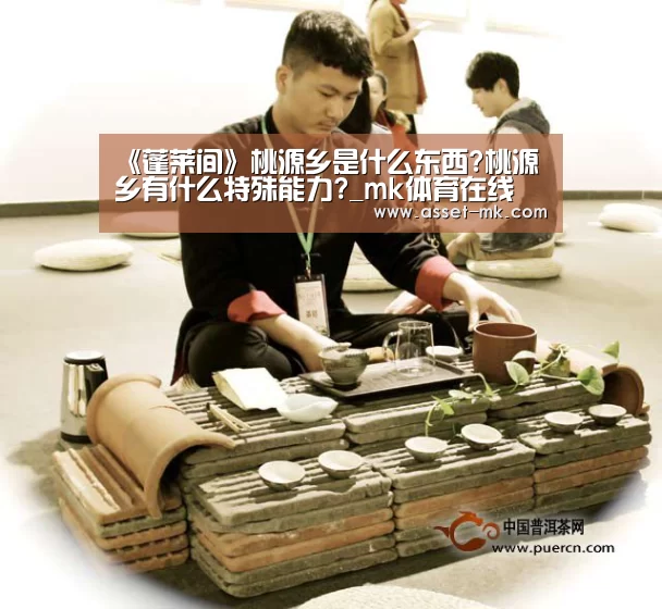 《蓬莱间》桃源乡是什么东西?桃源乡有什么特殊能力?_mk体育在线(图2) mk体育在线